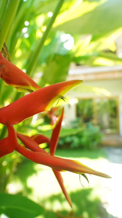 Focus Rooms El Nido Exterior photo