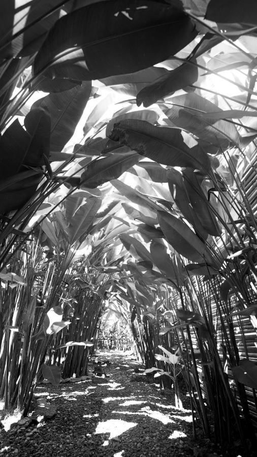Focus Rooms El Nido Exterior photo